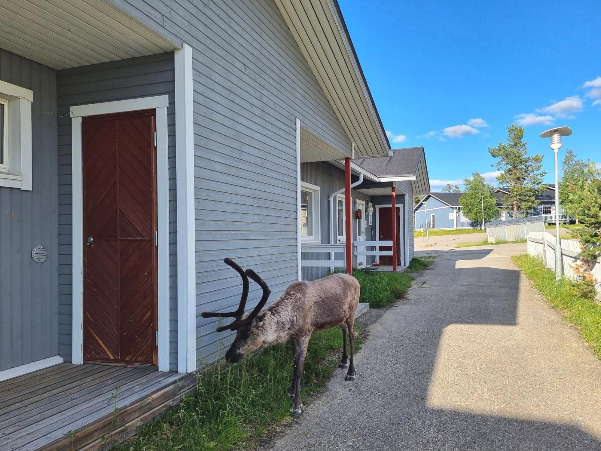 Kuukkeli Apartments Suite Saariselkä Exterior foto